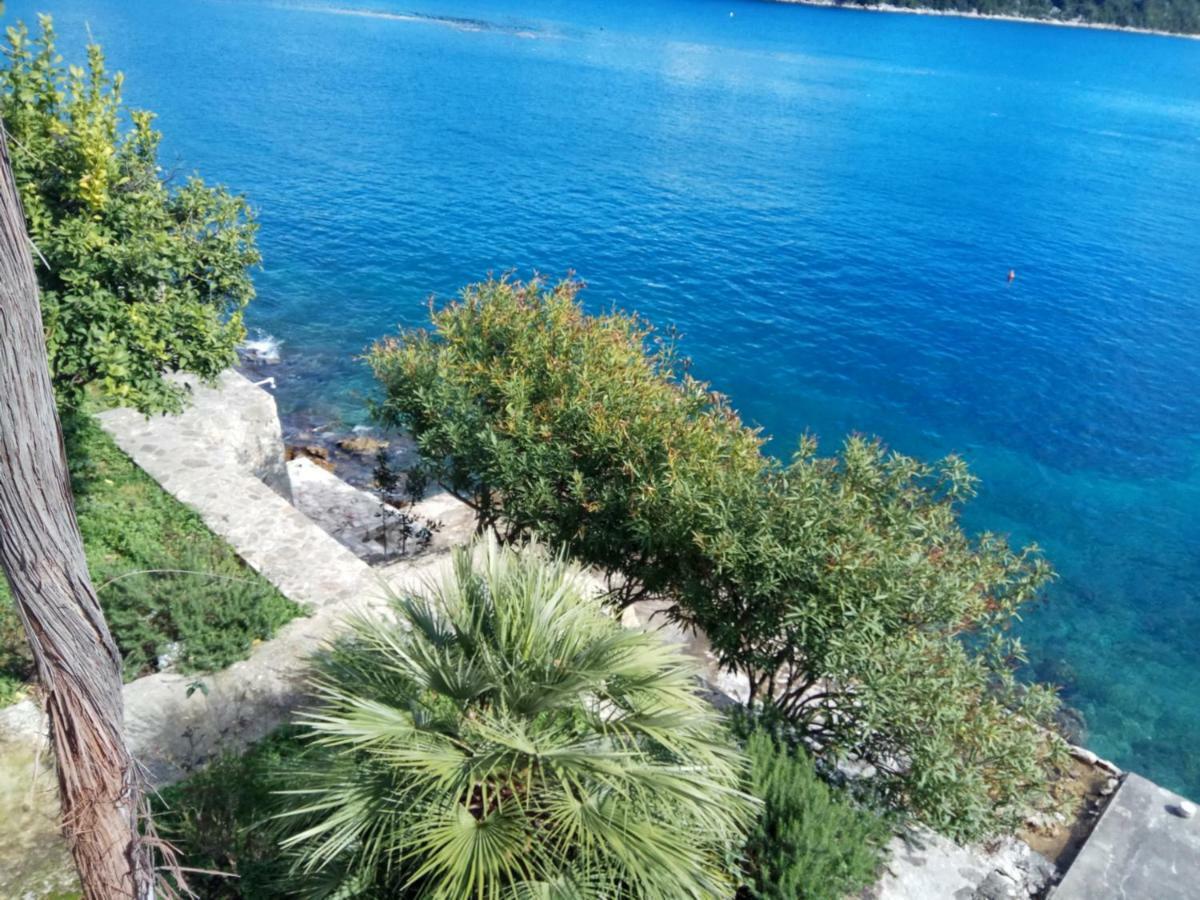Mljet 4You - Beach House Sobra Luaran gambar